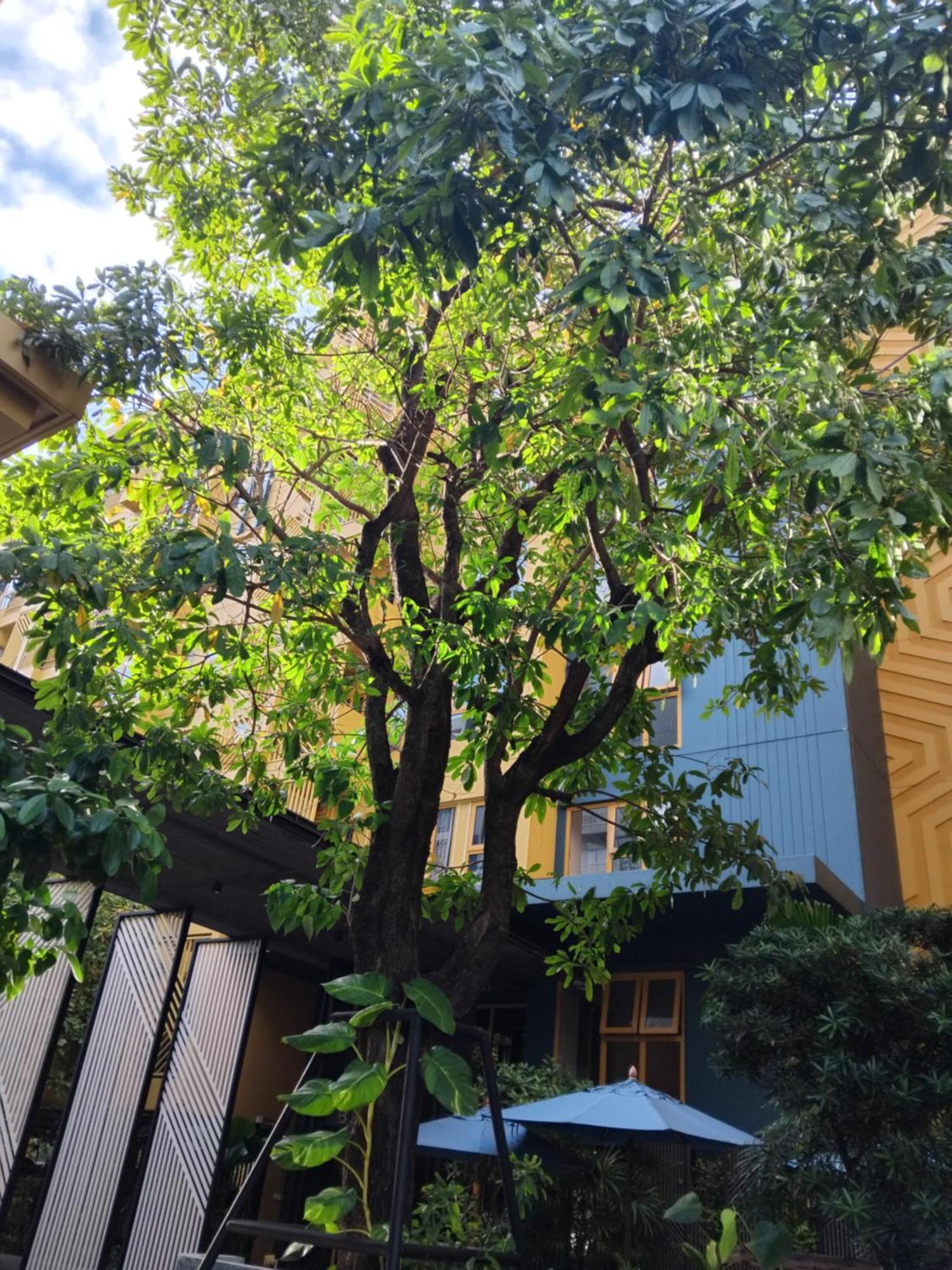 Brissluxe At Bts Onnut Sukumvit 50 Daire Bangkok Dış mekan fotoğraf